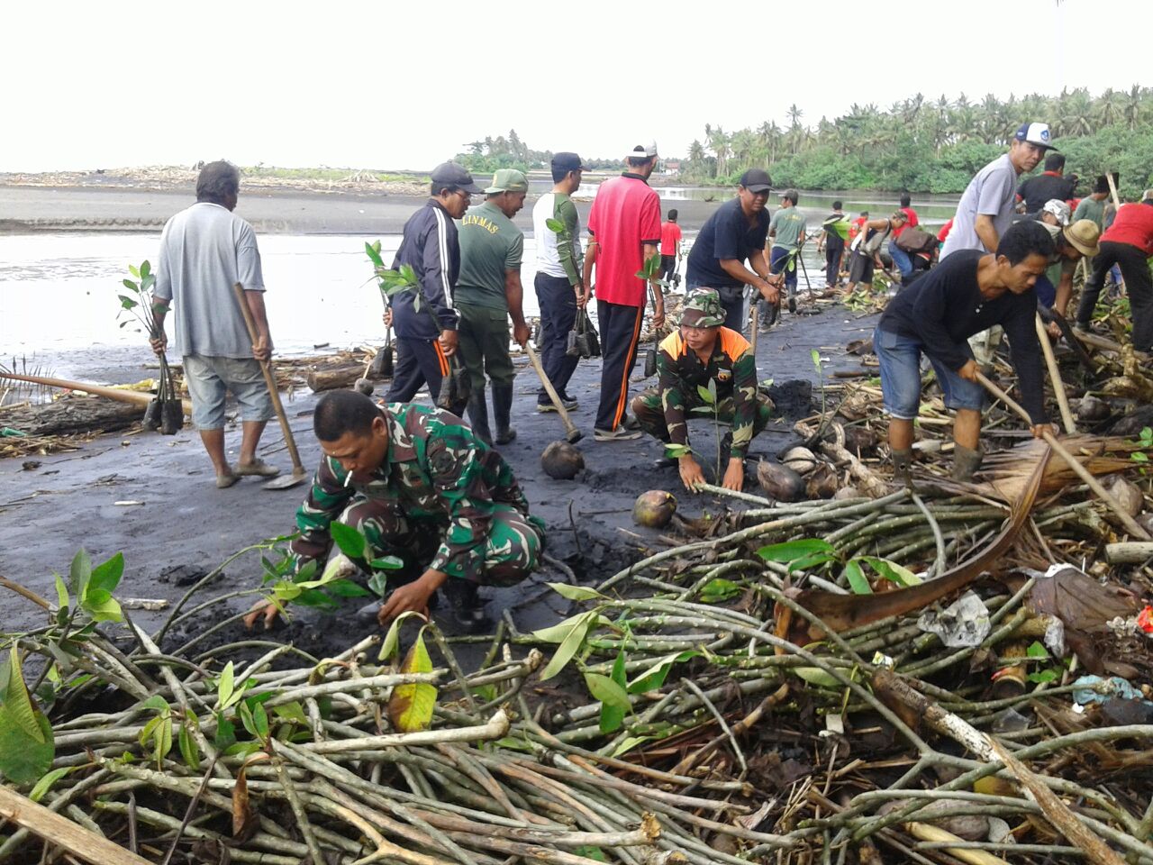 Jaga Kelestarian Alam, Koramil Pekutatan Ajak Masyarakat Tanam Bakau