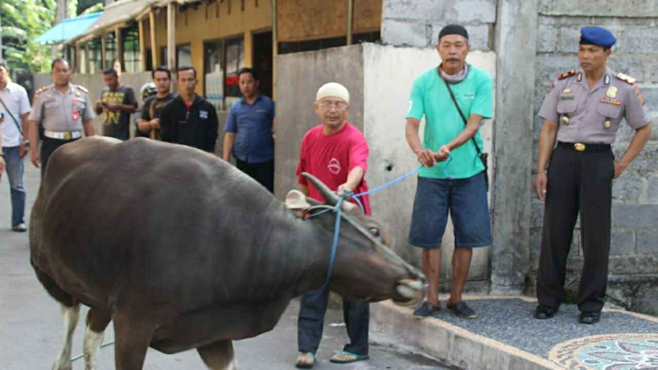Momentum Idul Adha, Polres Badung Berbagi