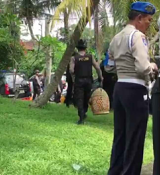 Polisi Gerebek Sabung Ayam di Bitra