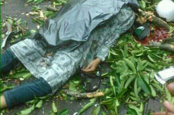 Pohon Tumbang di Jalan Tukad Pakerisan, Satu Korban Meninggal Dunia