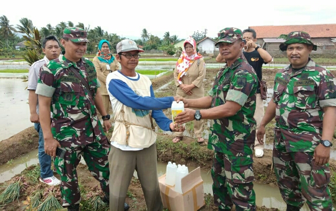 Jaga Ketahanan Pangan, Korem 071/Wijayakusuma Sosialisasikan “Pupuk Wiajayakusuma Nutrition”