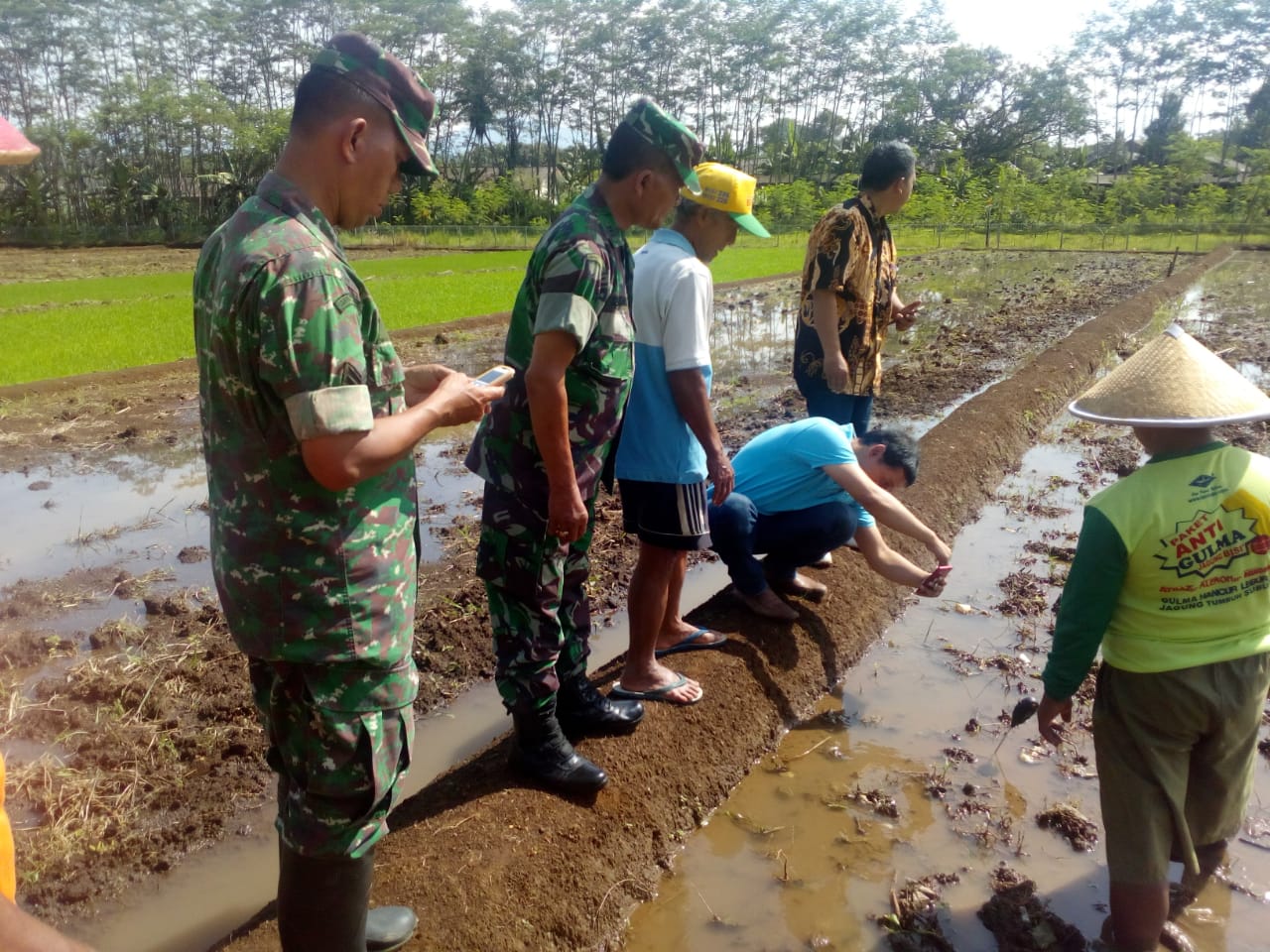 Penyemprotan Perdana “Pupuk Wijayakusuma Nutrition” Langkah Awal Menuju Petani Sejahtera