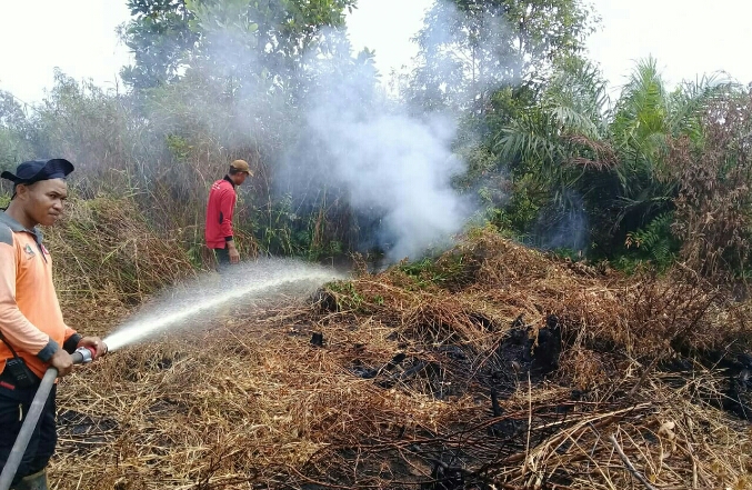Ulah Manusia Penyebab 99% Kebakaran Hutan Dan Lahan