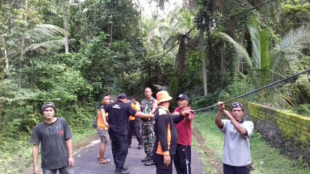 Antisipasi Pohon Tumbang, TNI Dan Warga Tebang Pohon