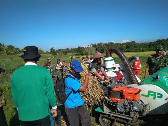 Kodim Tabanan Panen Raya Di Sawah Demplot Kerambitan