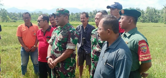 Dandim Jembrana Dan Kadistan Pantau Kekeringan Di Subak Manistutu
