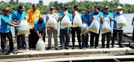 Cegah Ikan Endemik Punah, FAO Dan KKP Ajak Masyarakat Jaga Habitat Perairan Darat