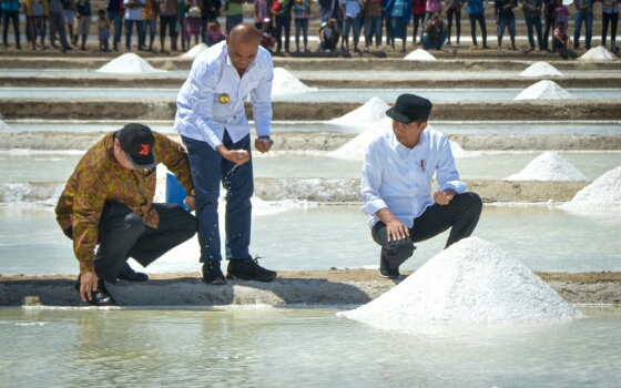 Presiden Jokowi: Garam NTT Hasilnya Lebih Putih Dan Bagus