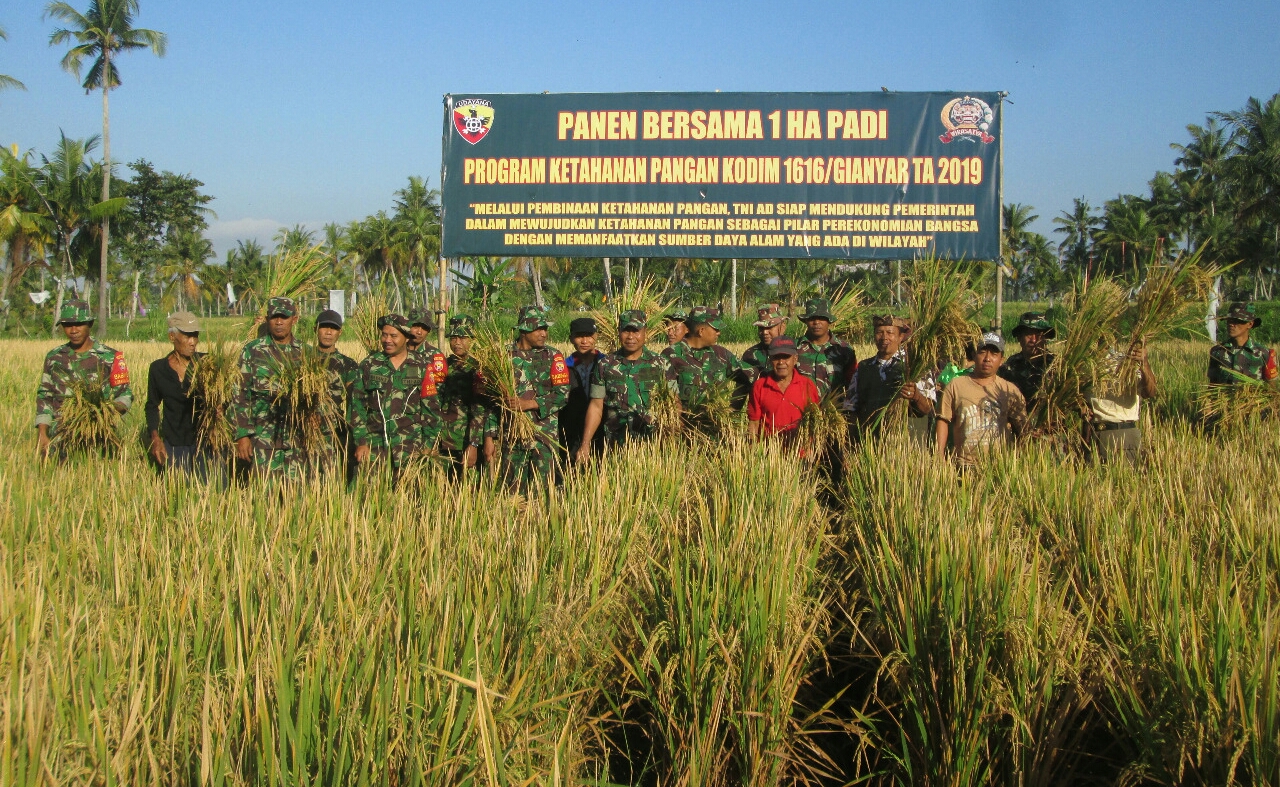 Kodim Gianyar Panen Padi Program Ketahanan Pangan TA 2019