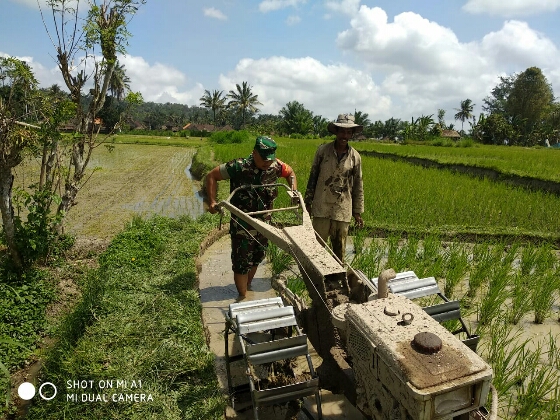 Dandim Bangli: Babinsa Harus Mampu Menjadi Spirit Bagi Petani