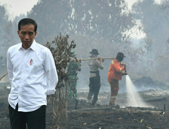 Presiden Jokowi Tegaskan Pentingnya Upaya Pencegahan Karhutla
