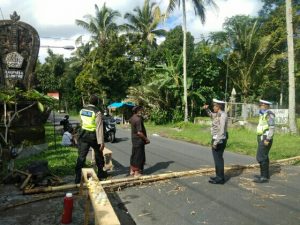 IMG-20200326-WA0142