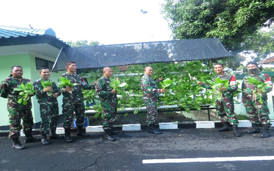 Dandim Klungkung Bersama Perwira Staf Panen Sayur