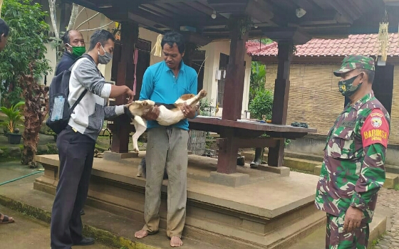 Babinsa Desa Pesagi Atensi Kegiatan Vaksin Rabies