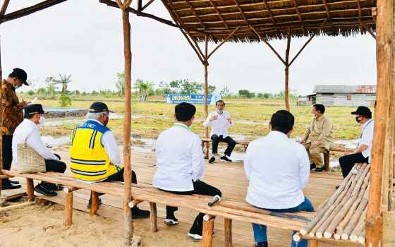 Presiden Tinjau Lokasi Pengembangan Lumbung Pangan Nasional di Kabupaten Kapuas