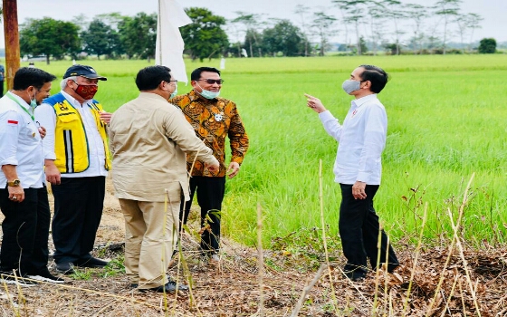 Presiden Tinjau Jaringan Reklamasi Rawa di Pulang Pisau