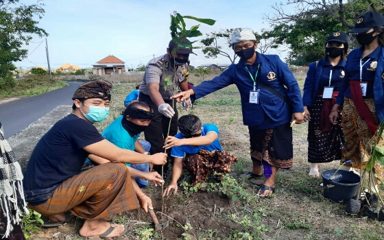Ciptakan Keasrian Lingkungan Pura, Mahasiswa KKN UHN Lakukan Aksi Tanam Pohon Cempaka