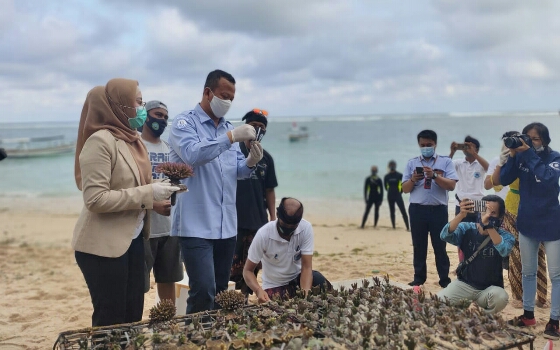 Peluang Ekspor Karang Hias Jadi Perhatian Menteri KKP