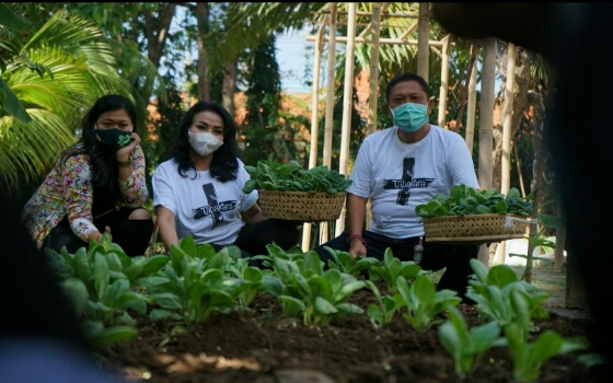 Rai Mantra Panen Sayuran di Kebun Pekarangan Rumah, Ajak Seluruh Lapisan Masyarakat Ciptakan Ketahanan Pangan Skala Keluarga