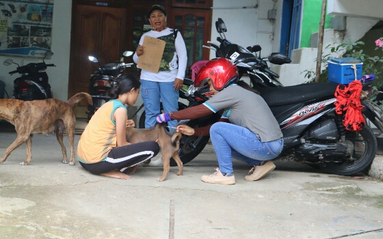 Peringati Hari Rabies Sedunia, Disnak dan Kesehatan Hewan Manggarai Barat Deklarasikan Labuan Bajo Bebas Rabies