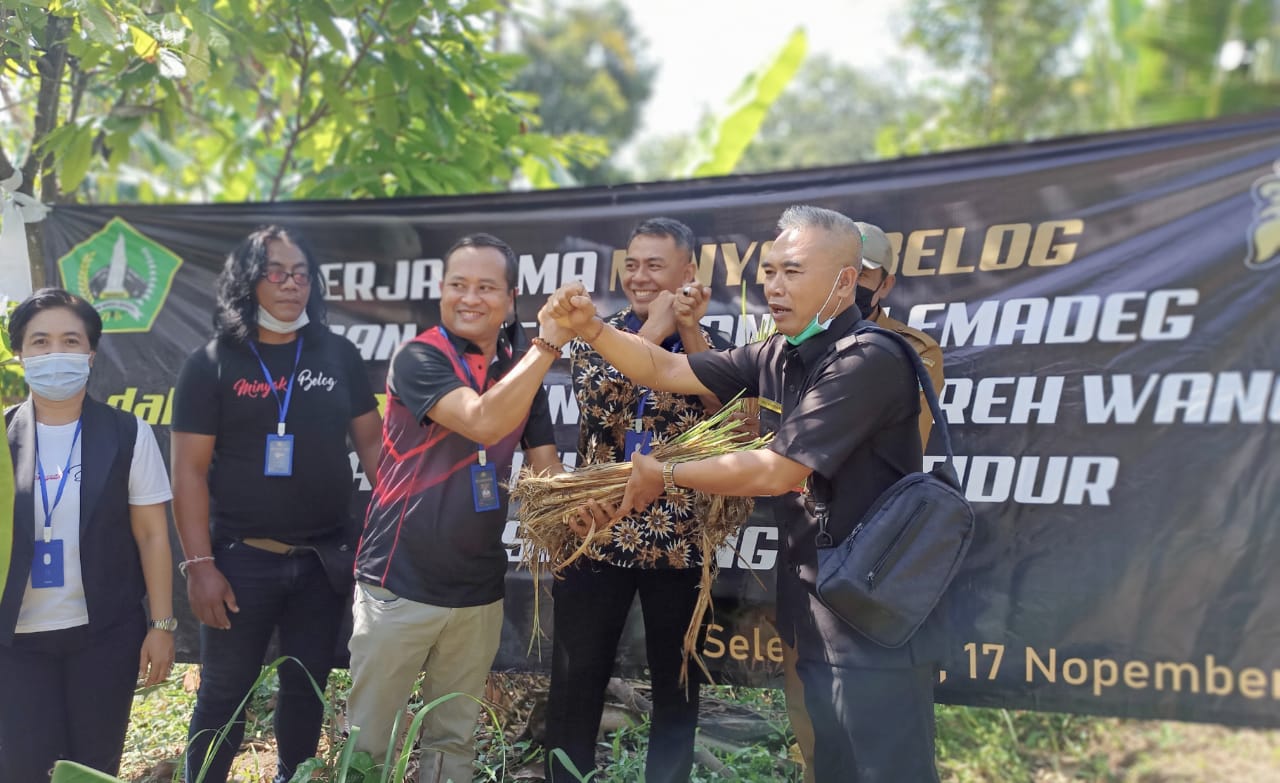 Budidayakan Herbal Sereh Wangi, Desa Berembeng Gandeng Minyak BELOG