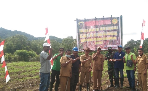 Budidaya Tanaman Porang, Kelompok Tani Kajong 2 Tanam Perdana di Areal Ngapur