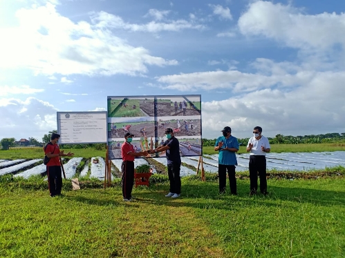 Bantu Menambah Pendapatan Masyarakat Masa Pandemi, Kesiman Kertalangu Luncurkan Program Padat Karya Tunai Secara Swakelola