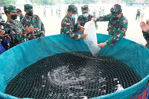 Wujudkan Ketahanan Pangan Korem 163 Wira Satya Budidayakan Lele Dan Hidroponik