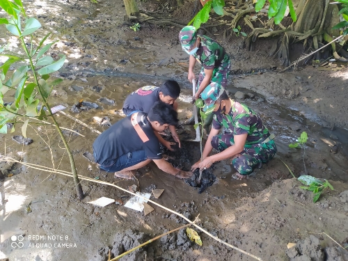 TNI Dan Warga Tanam Magrove Untuk Cegah Abrasi Pantai Pasut