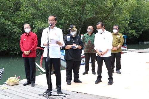 Kunjungan Kerja ke Bali, Presiden Akan Tinjau Penanaman Mangrove hingga Venue G20