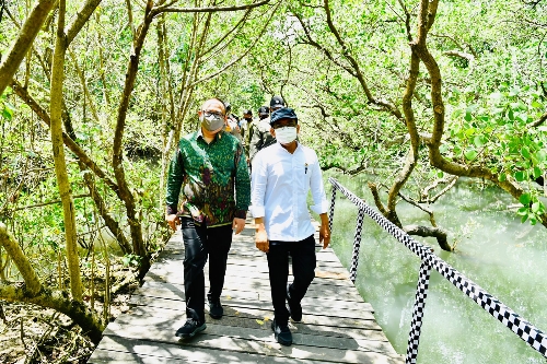 Presiden Jokowi: Hutan Mangrove di Bali Jadi Replikasi Model Rehabilitasi Mangrove di Provinsi Lain