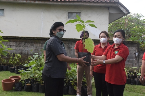 Ketua TP PKK Denpasar Ny. Antari Jaya Negara Serahkan Bibit Tanaman Ke Rumah Lokus