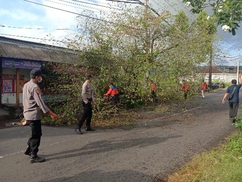 Polsek Bebandem, BPBD, dan PLN Karangasem Bersihkan Pohon Tumbang Halangi Jalan Raya