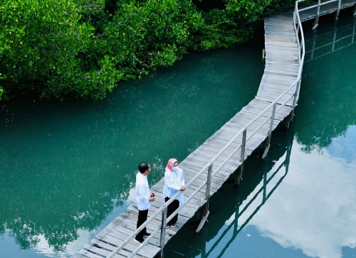 Presiden RI Joko Widodo Tinjau Hutan Mangrove di Bali
