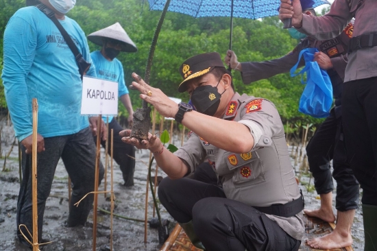 Peduli Hutan Mangrove, Kapolda Bali Turut serta Tanam Bibit Bakau