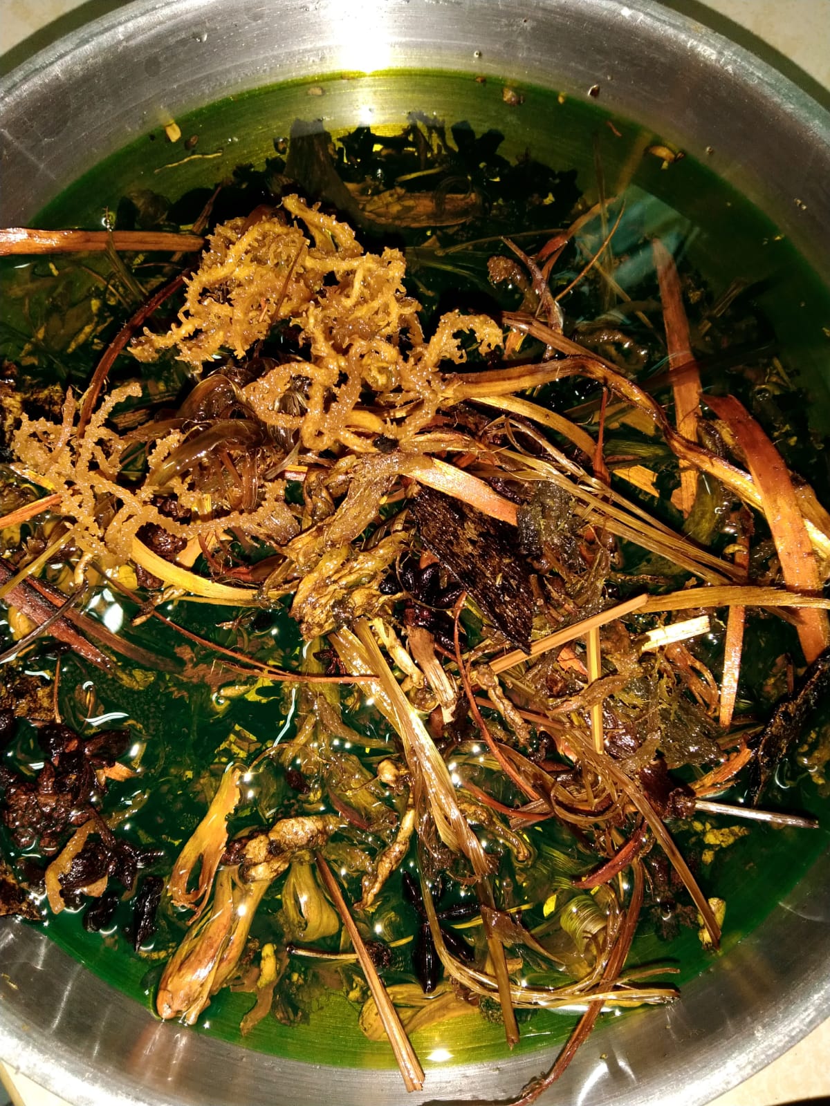 Ananta Bali Aromatic Kembangkan Aroma Therapi Berbahan Baku Rumput Laut Berkelas Dunia