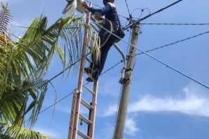 IMG_20220301_202849