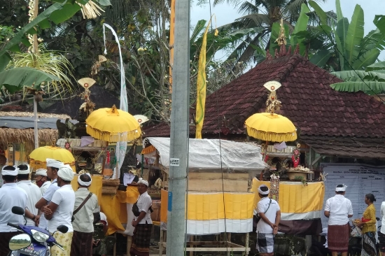 Babinsa Peliatan Pantau dan Amankan Kegiatan Keagamaan Piodalan di Pura Jati