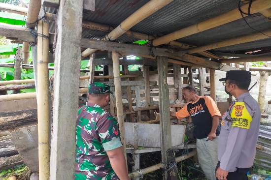 Bhabinkamtibmas Desa Sidan Bersama Babinsa Sambangi Peternak Kambing Waspada PMK