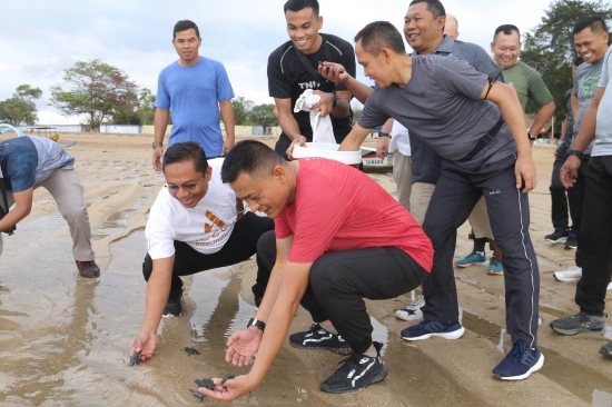 Jaga Kelestarian Ekosistem Laut, Pangdam Lepas Puluhan Tukik Saat Jalan Santai di Pantai Sanur
