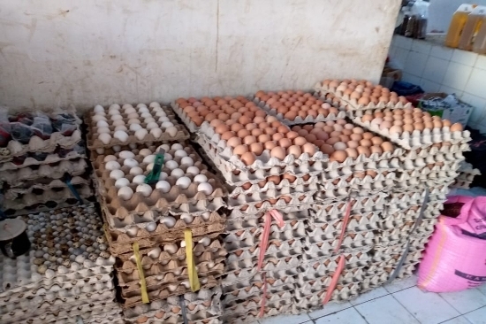 Harga Telur Ayam, Cabe dan Tomat di Manggarai Barat dan Lainnya terus Melonjak