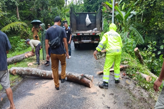 Bhabinkamtibmas Desa Sumita bersama SatSamapta Polres Gianyar Lakukan Pemangkasan Pohon Tumbang