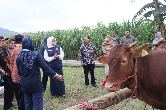 Bupati Mojokerto Serahkan Batuan Lima Ekor Sapi Indukan untuk Poktan Trawas