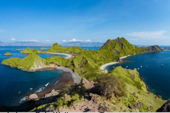 57 Naturalist Guide yang Ditempatkan PT Flobamor Mulai Menata Jalur Trekking di Padar Utara