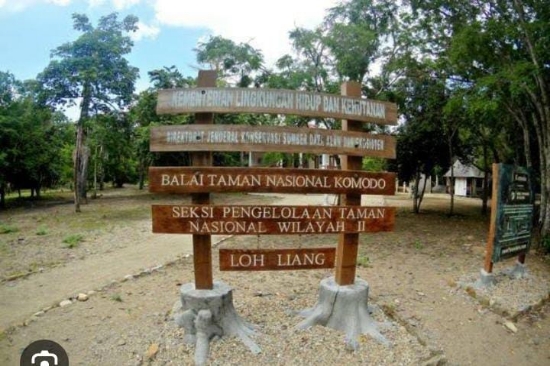 Direktur PT Flobamor Sebut Perlu Pembatasan Agar Kunjungan Wisatawan ke Loh Liang Berdampak bagi Warga Komodo