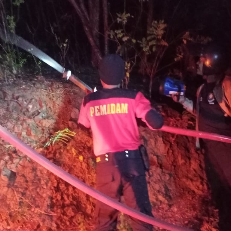 Hutan di Kawasan Gunung Pemuteran Kawasan Pura Batu Kursi Terbakar