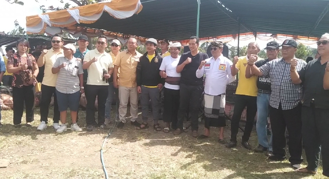 “Menghargai” Umat Sedharma di Hari Raya Galungan, DPD Partai Golkar Badung Bagikan 12 Ton Daging Babi