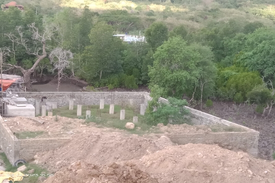 Bupati Edi Geram terhadap Maraknya Pembabatan Hutan Mangrove untuk Pembangunan Hotel