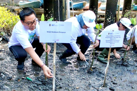 Wawali Arya Wibawa Ikuti Aksi Penanaman Mangrove dan Bersih Lingkungan dari Kemenko Marves