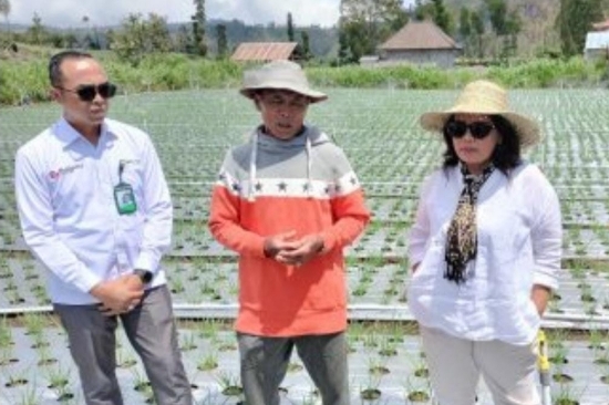 Press Tour bersama Media, OJK Bali Kunjungi Sentra Tani di Songan Bangli